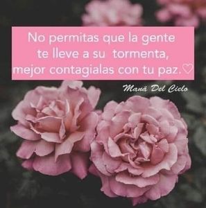 Meet your Posher, Jaymi